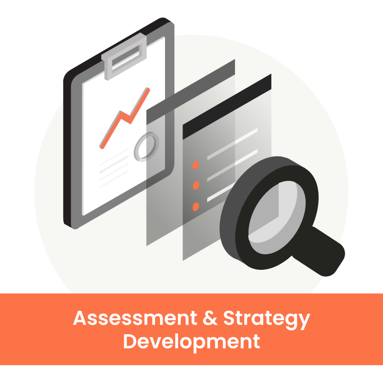 Assesment Strategy Development