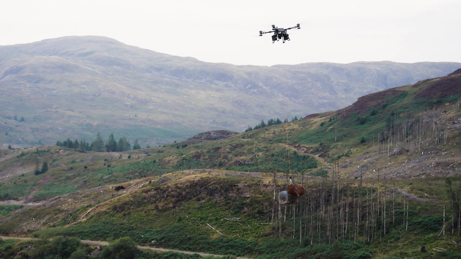 DJI FlyCart 100: Drone trials for forestry and deer recovery