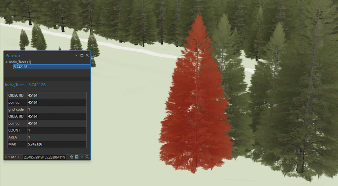Measuring tree height with drone LiDAR
