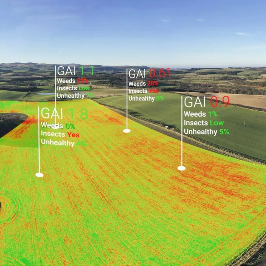 Skippy Scout allows for targeted field scouting.