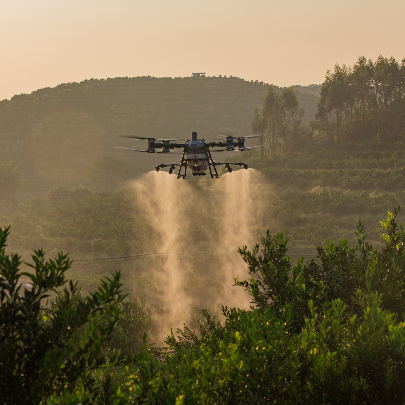 DJI Agras T100 spreading drone.