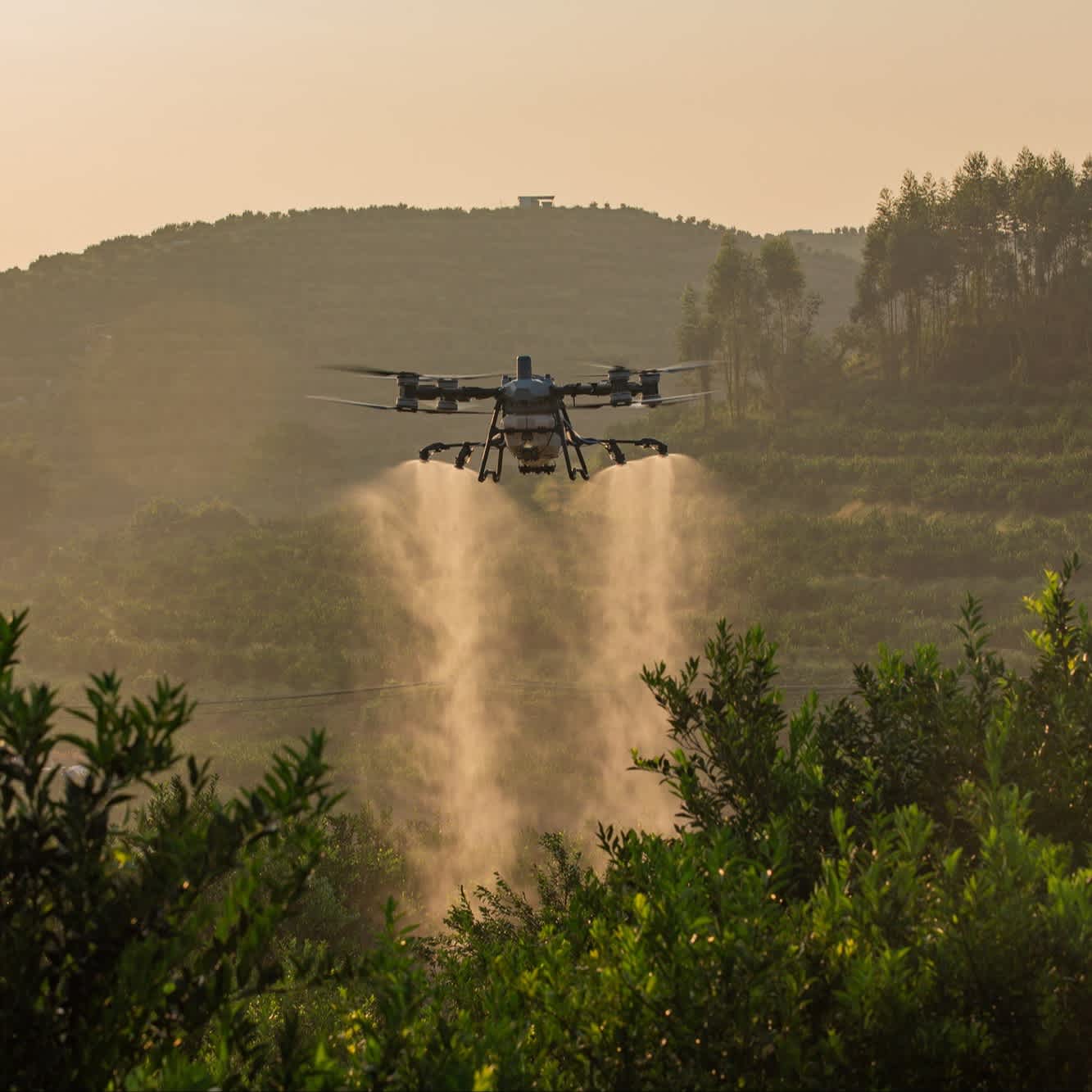 DJI Agras T100 spreading drone.