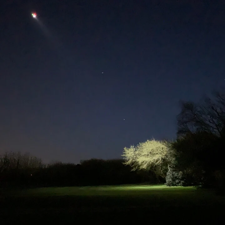Tree lit by Wingsland Z15 Gimbal Spotlight.