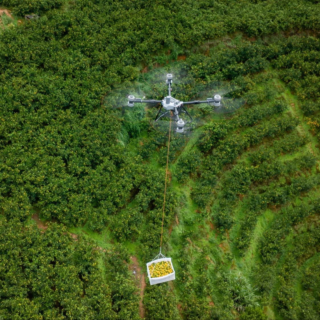 DJI Agras T100 drone delivery.