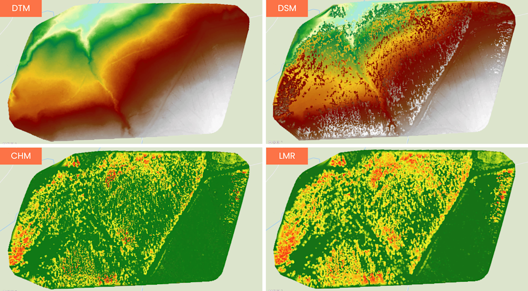 Measuring tree height with drone LiDAR