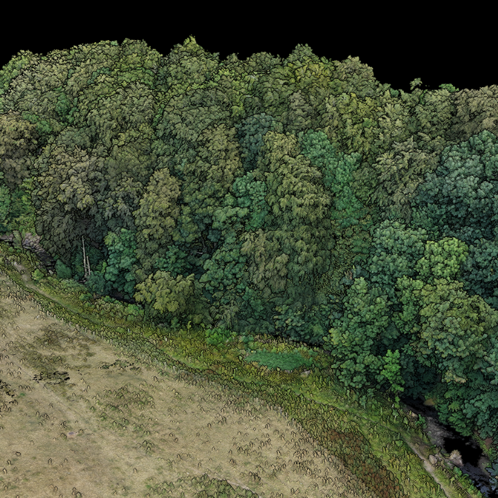 LiDAR forestry analysis.