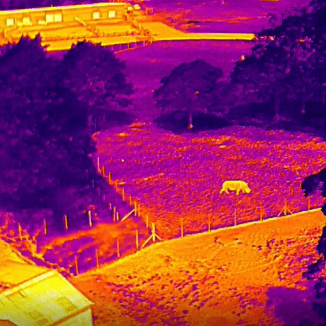 Drones For Wildlife Conservation