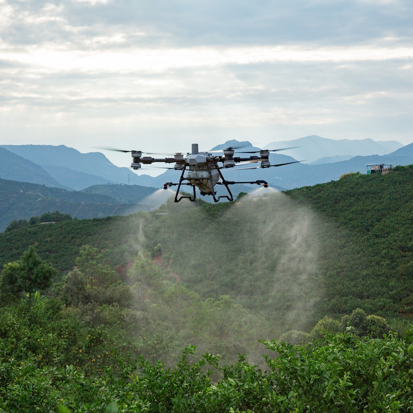 DJI Agras T100 agricultural drone.