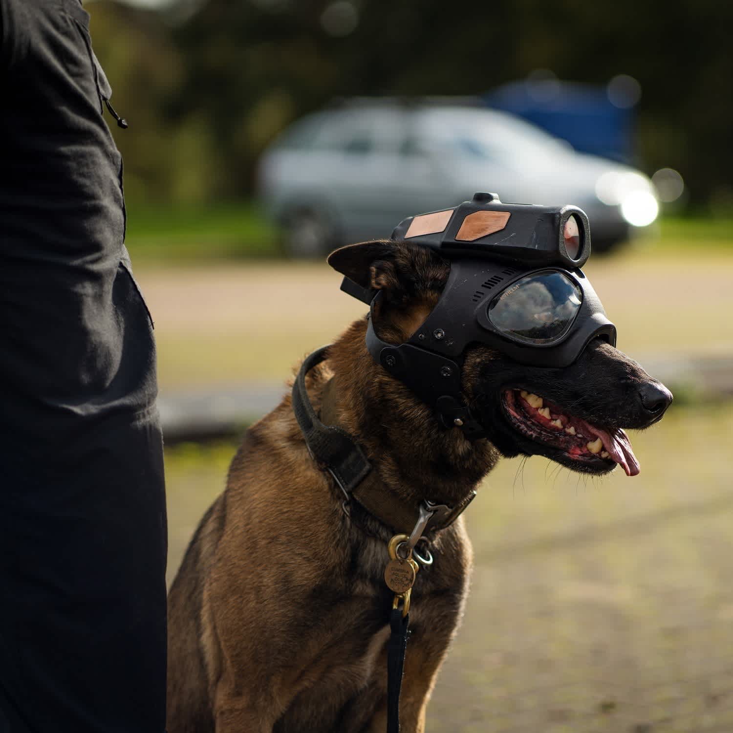 Low latency video transmission.