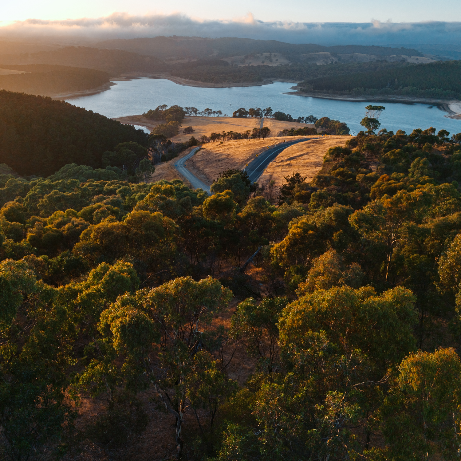 Shot on DJI Lito X1.