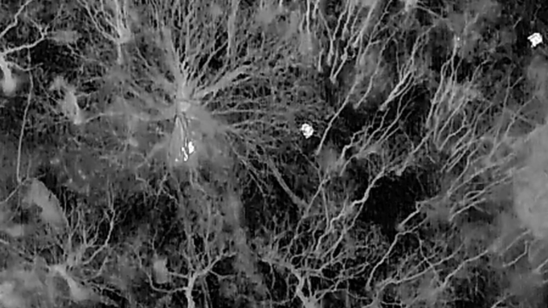 Police find missing woman with DJI thermal drone