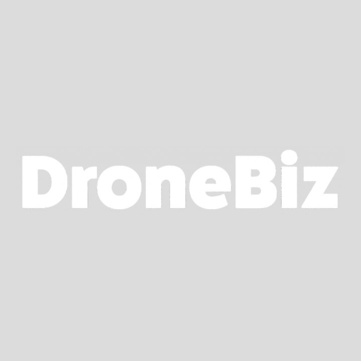 DroneBiz Logo