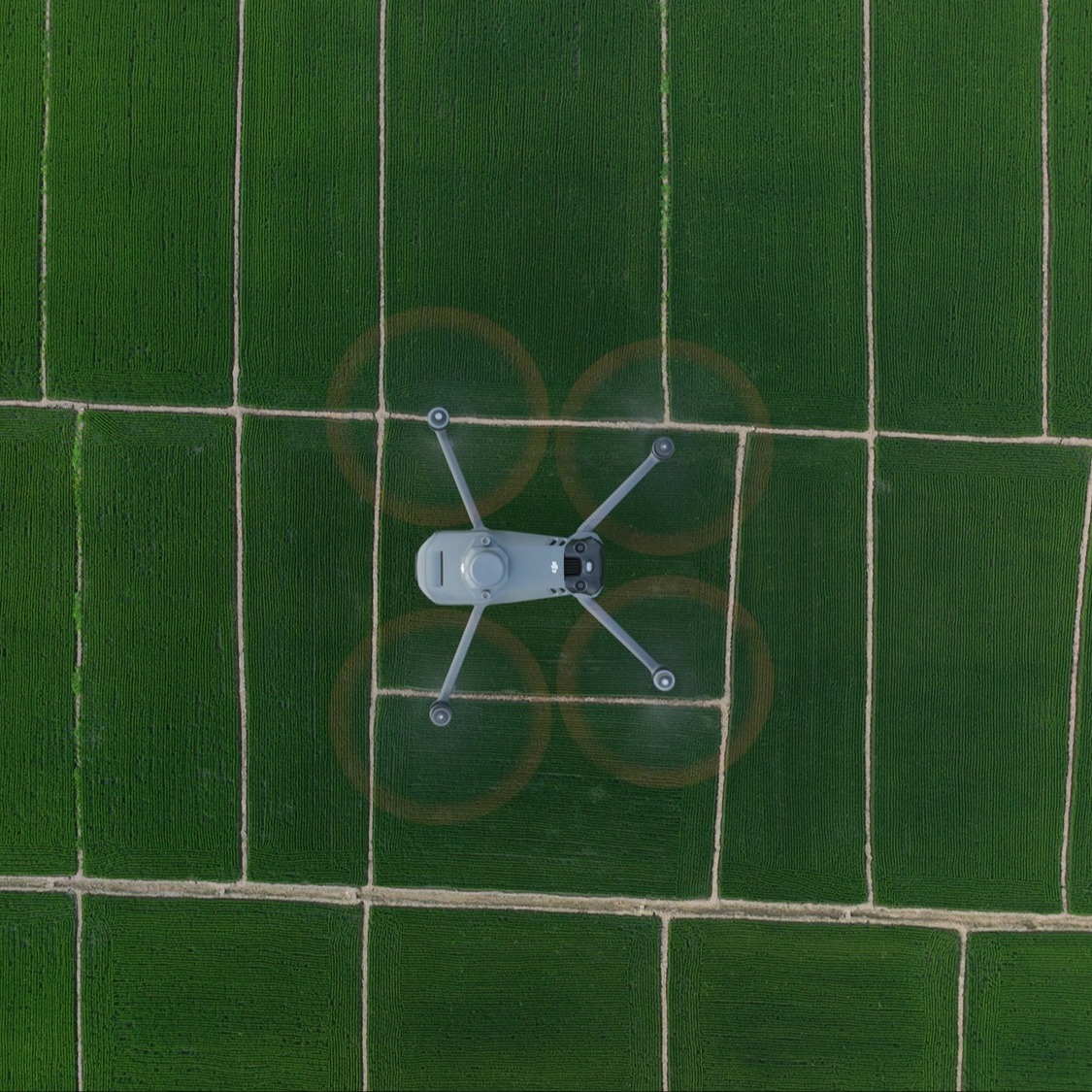 The DJI Mavic 3 Multispectral has a built-in RTK module.