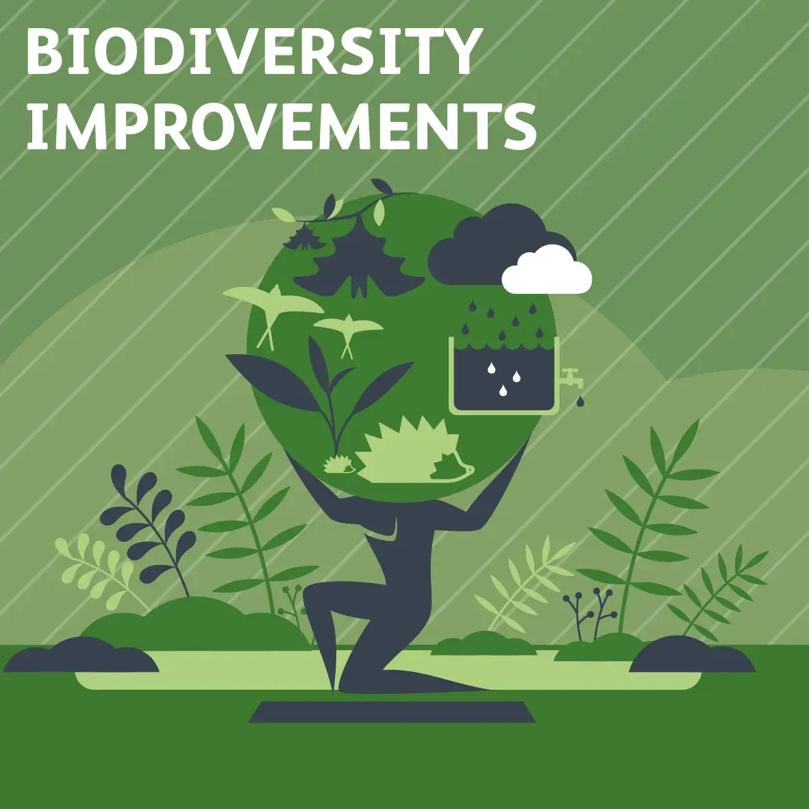 Biodiversity Improvements - Atlas Operational Efficiencies