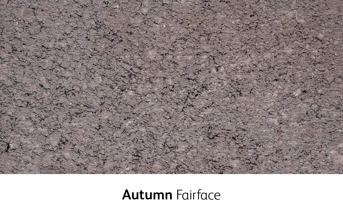 Architectural masonry Autumn Fairface Premier