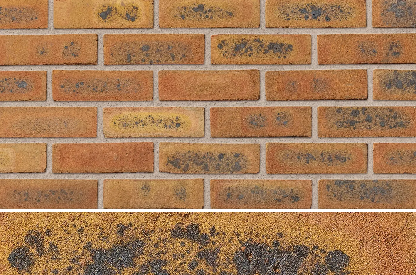 A3049A Parkhouse Swanbourne Yellow Multi Stock bricks