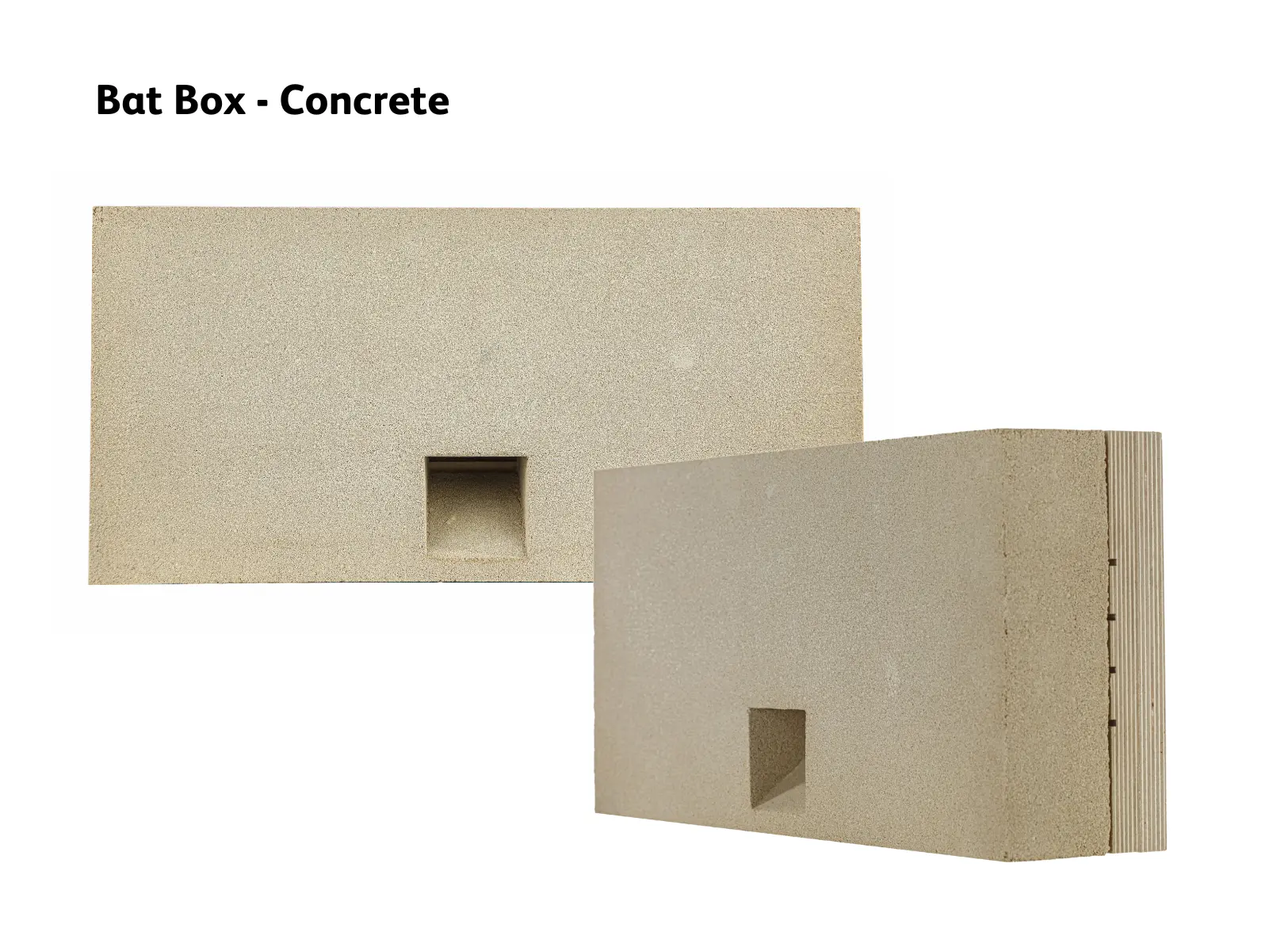 Concrete Bat Box