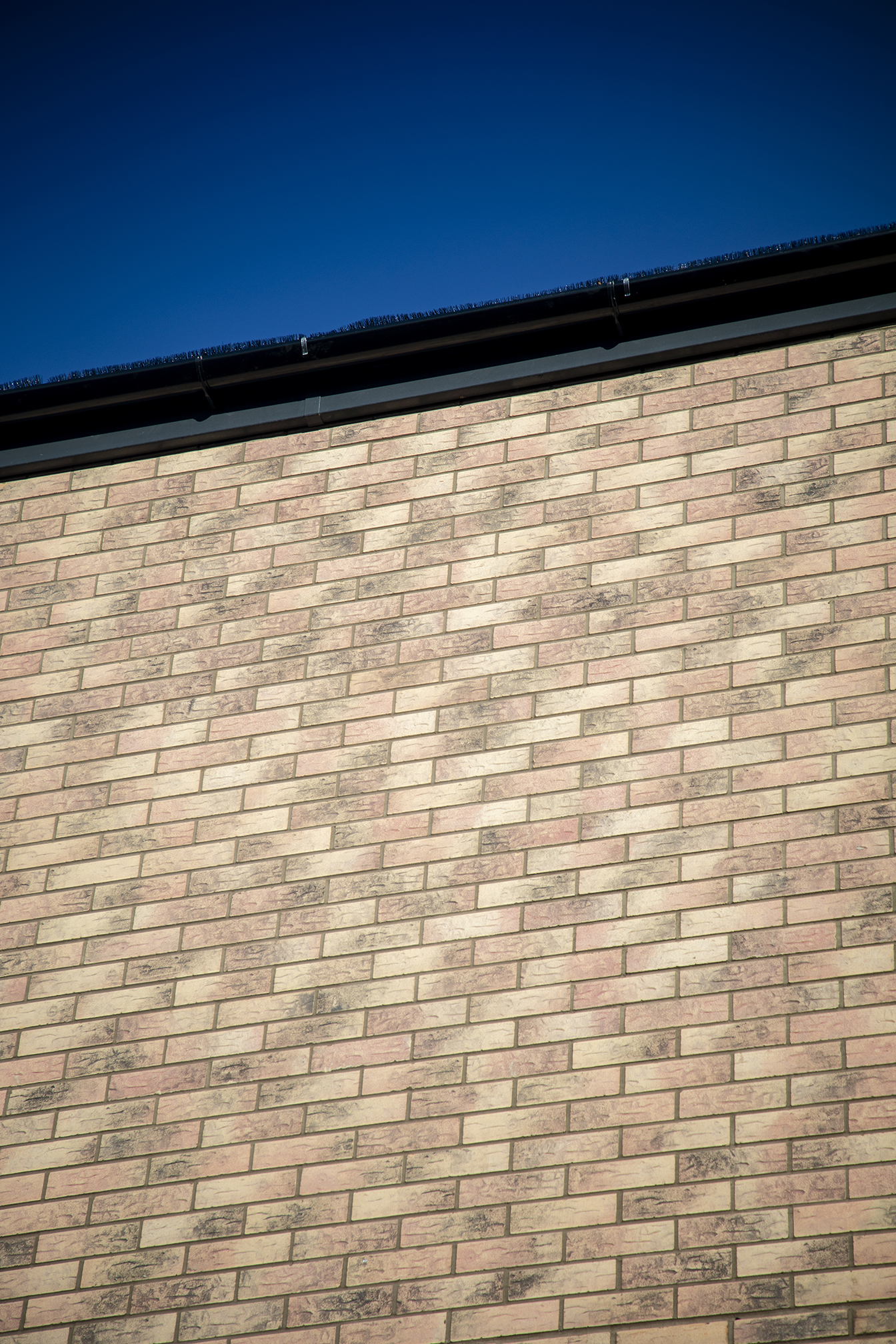 Webster House - 4