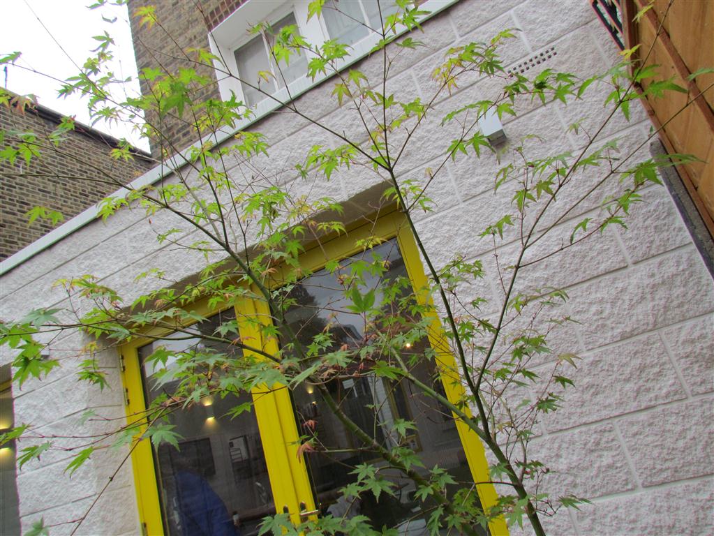 Single storey extension in South London - 2