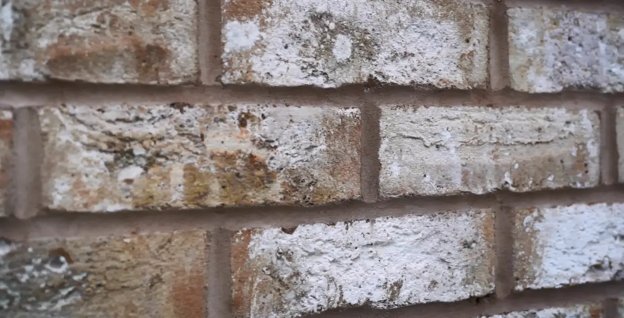 Pall mall press, Liverpool - Nexus facade system