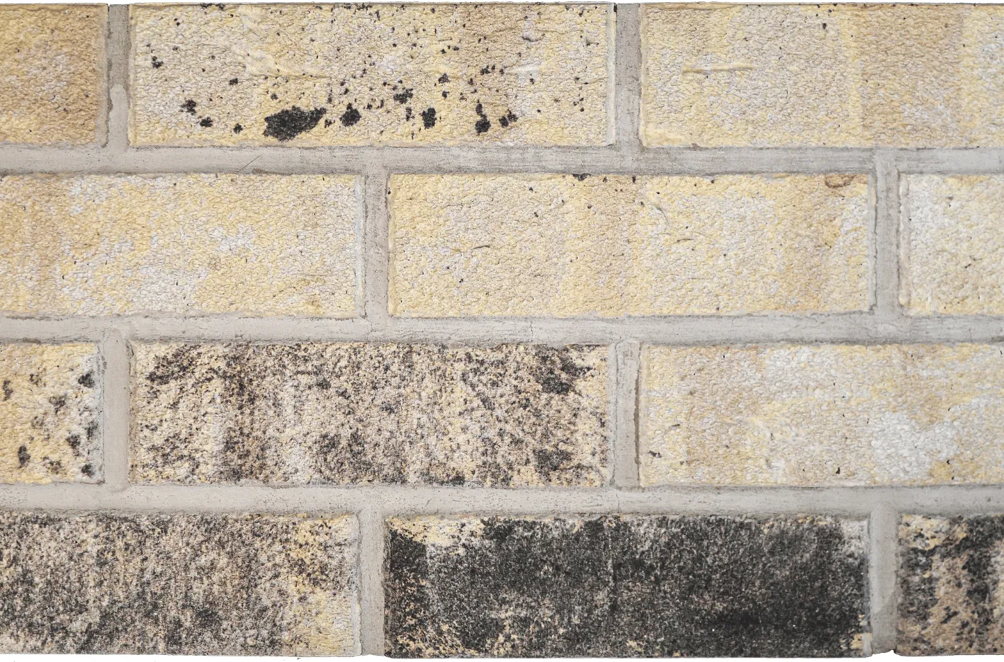 New Ivanhoe Cream IBrick panel image