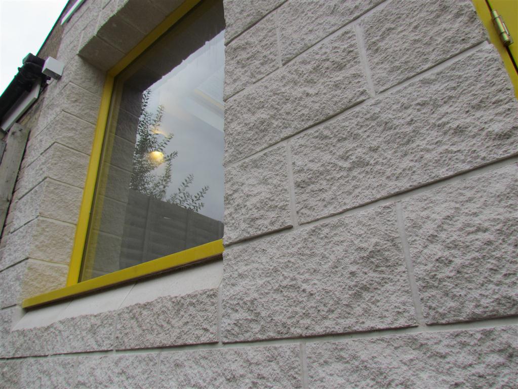 Single storey extension in South London - 5
