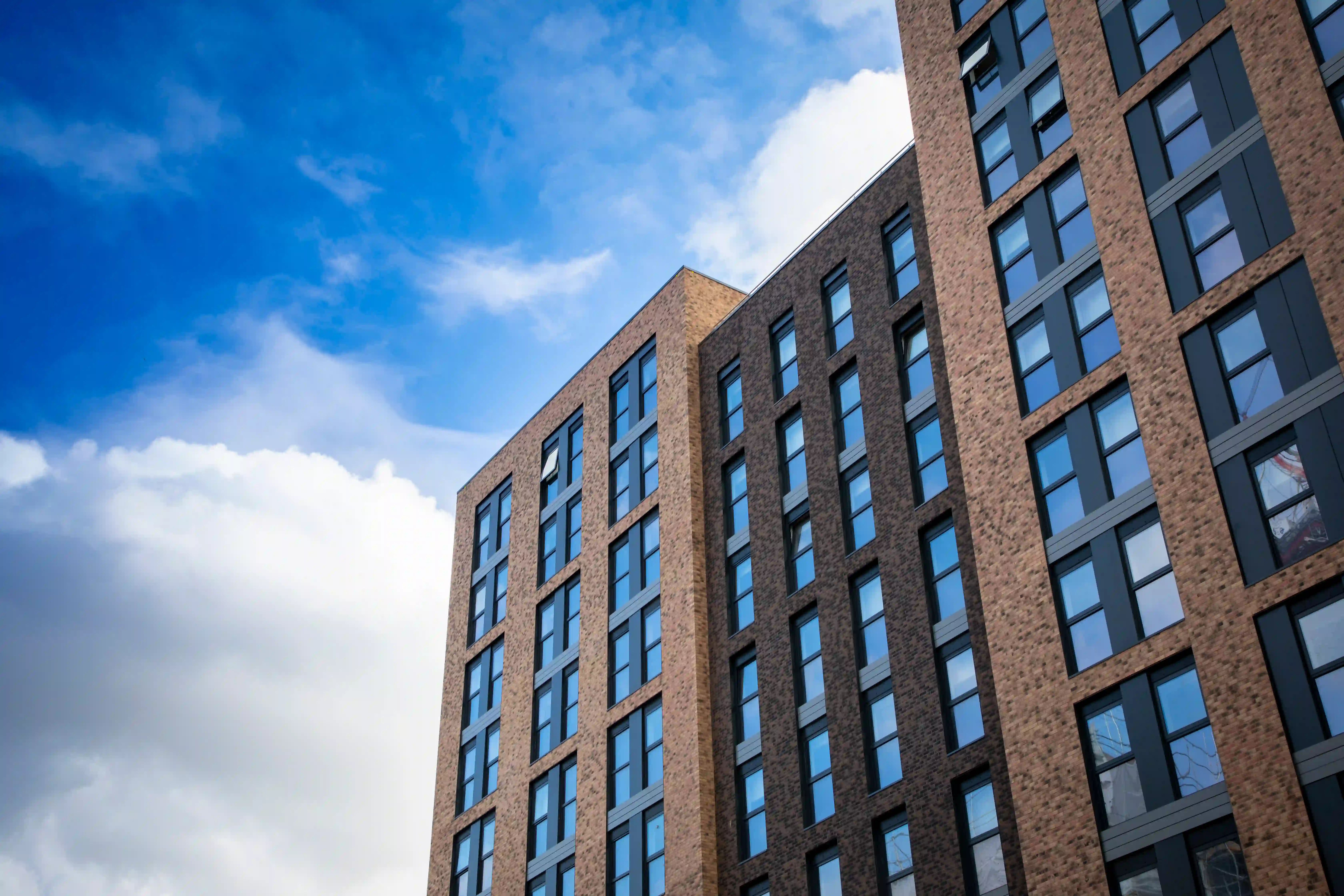 Forest Road - Genbrix (2)