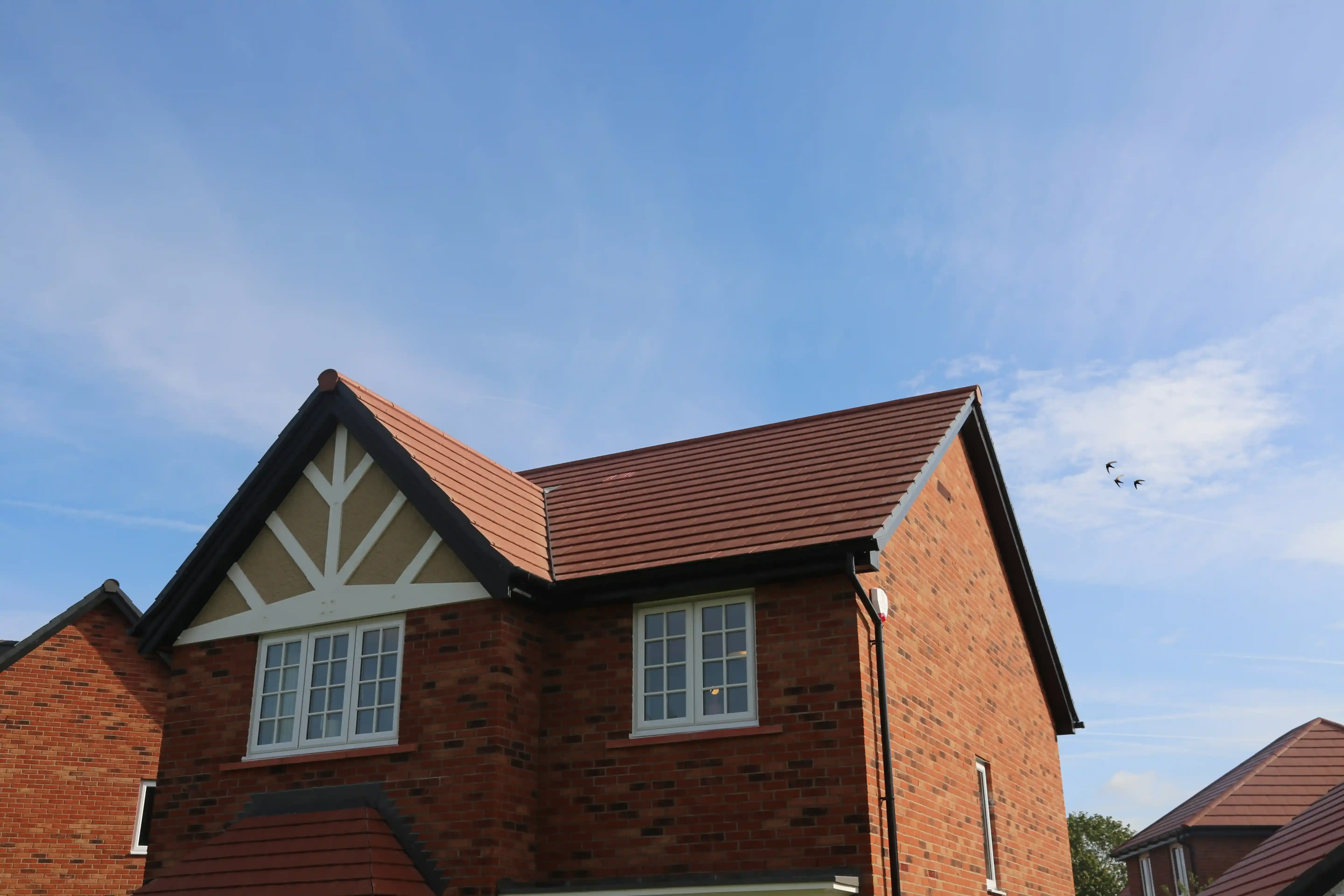 Swift box installed on house