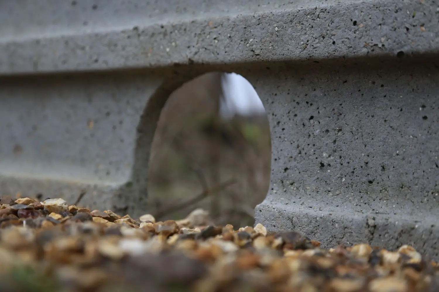 hedgehog-friendly concrete gravel board