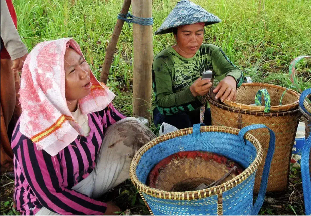 Katingan Peatland Conservations, Indonesia