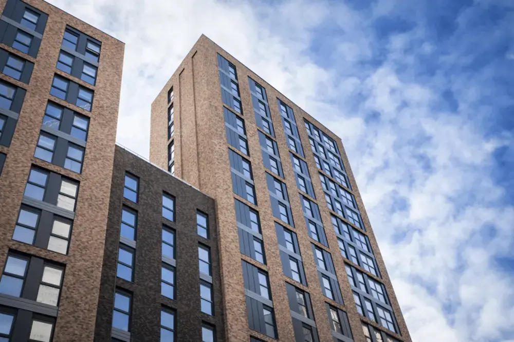 Forest Road - Genbrix