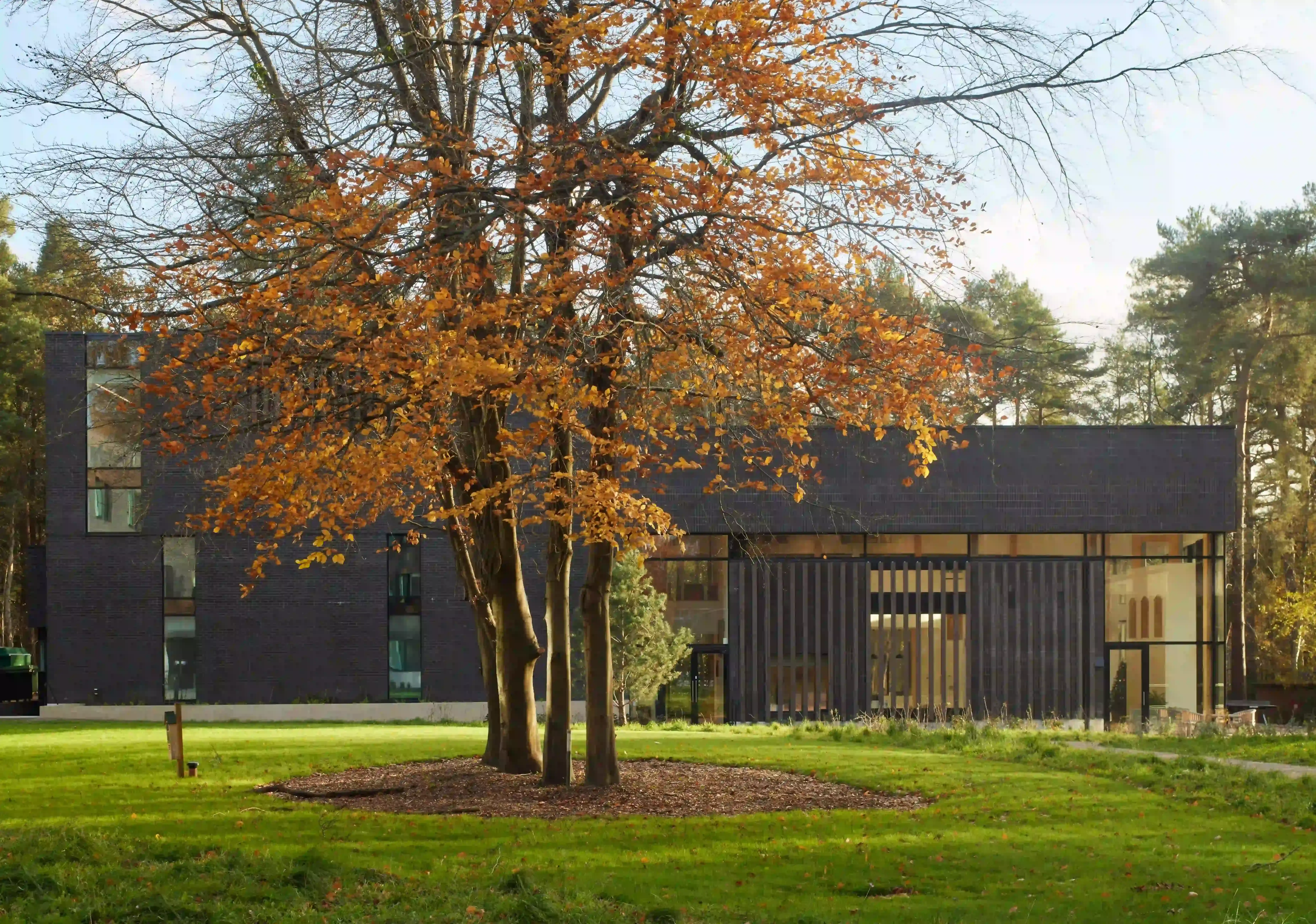 Woodland Quad Brick type used: Himley Ebony Black