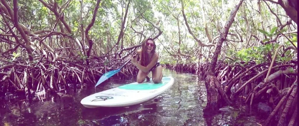 Visiter la Mangrove en Paddle - Guadeloupe