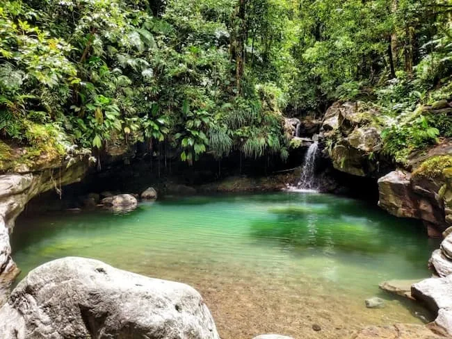 Bassin Paradise Cascade Guadeloupe