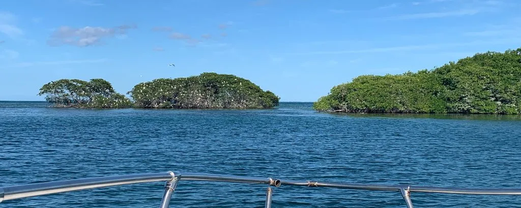 Îlet aux Oiseaux près de l'Îlet Caret - Guadeloupe