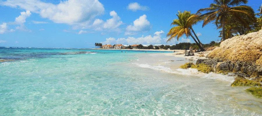 Plage des raisins clairs à Saint-François 