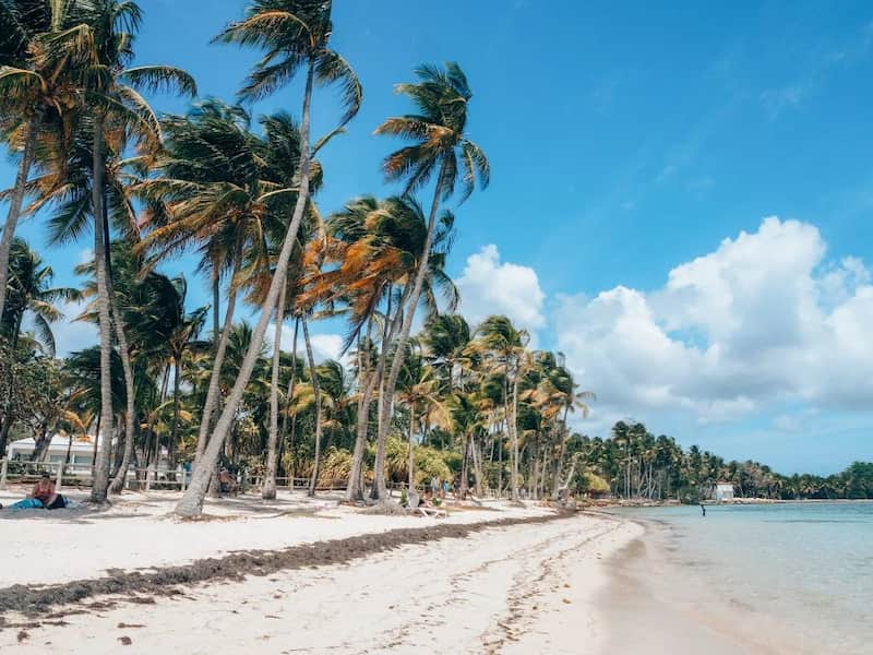 Découvrez La Plage De La Caravelle à SainteAnne Guadeloupe Jumbo Car [2023]