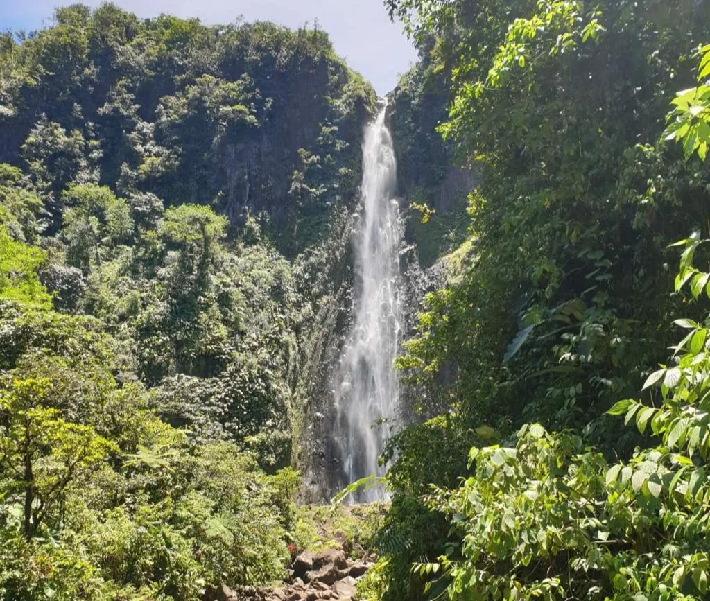 Deuxième chute du Carbet Guadeloupe