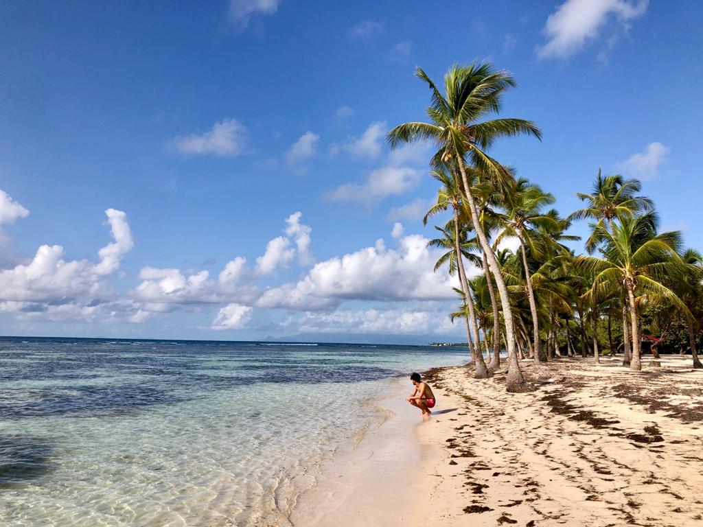 Découvrez La Plage De Bois Jolan à Sainte-Anne - Jumbo Car Guadeloupe [2024]