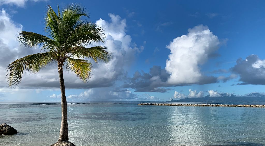 Découvrez La Plage De Bois Jolan à SainteAnne Jumbo Car Guadeloupe [2023]