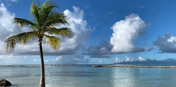 Plage du Bourg - Sainte-Anne