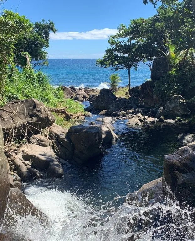 Rivière la Coulisse Guadeloupe