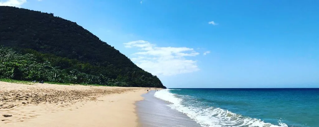 Plage Deshaies sans sargasse - Guadeloupe