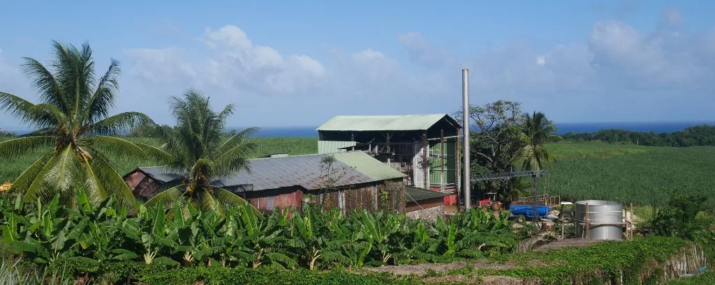 Visiter Distillerie Longueteau en Guadeloupe
