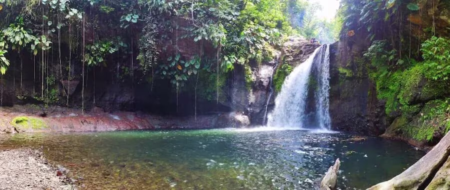 Cascades de la jungle
