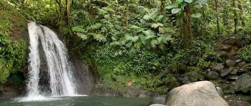 Cascade Ecrevisses Guadeloupe