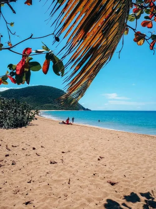 Plage de la Perle à Deshaies - Guadeloupe