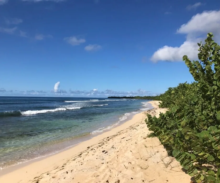 Plage du Souffleur à Port-Louis - Guadeloupe