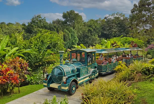 Jardin de Valombreuse petit bourg guadeloupe 