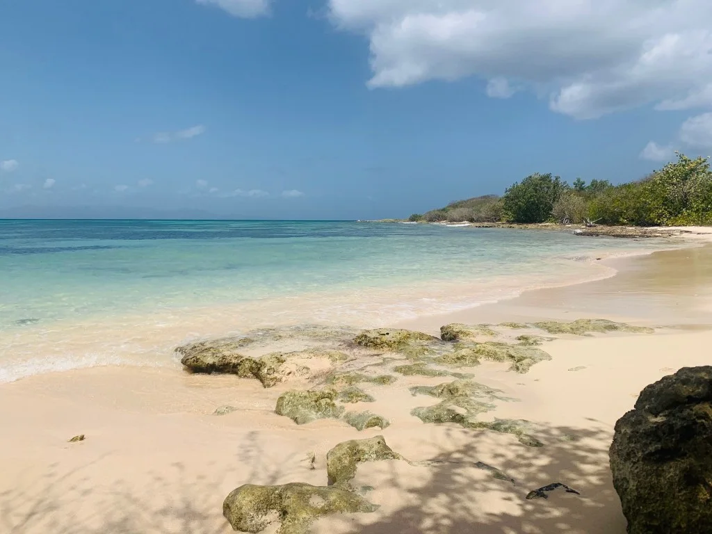 Pointe d'Antigue, Port Louis - Guadeloupe